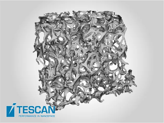 TESCAN UniTOM XL Micro CT