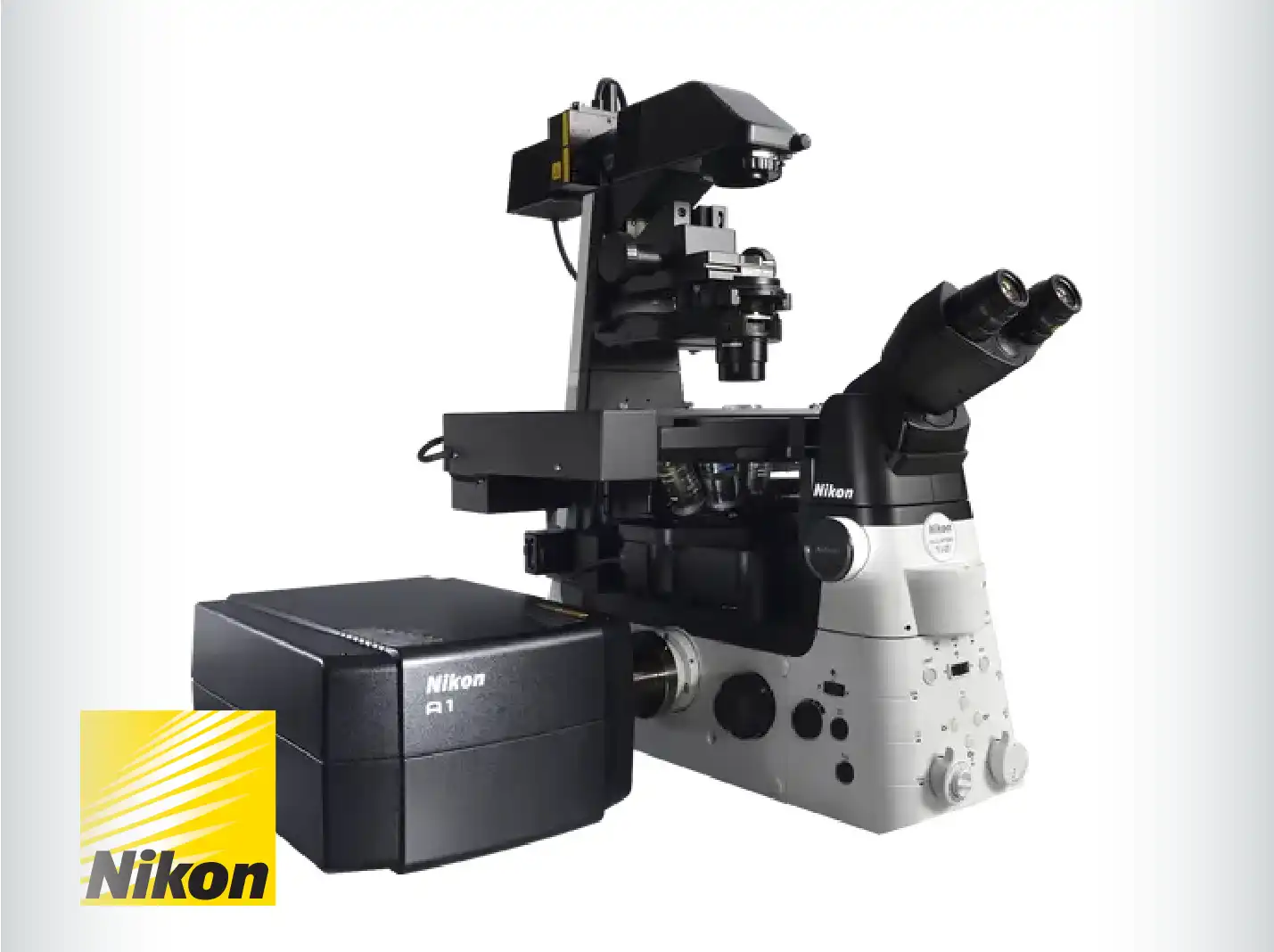 Nikon Confocal & Multiphoton Microscopes